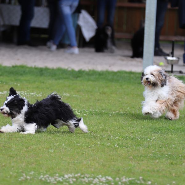 Fun- en wandeldag in Oost-Nederland 1